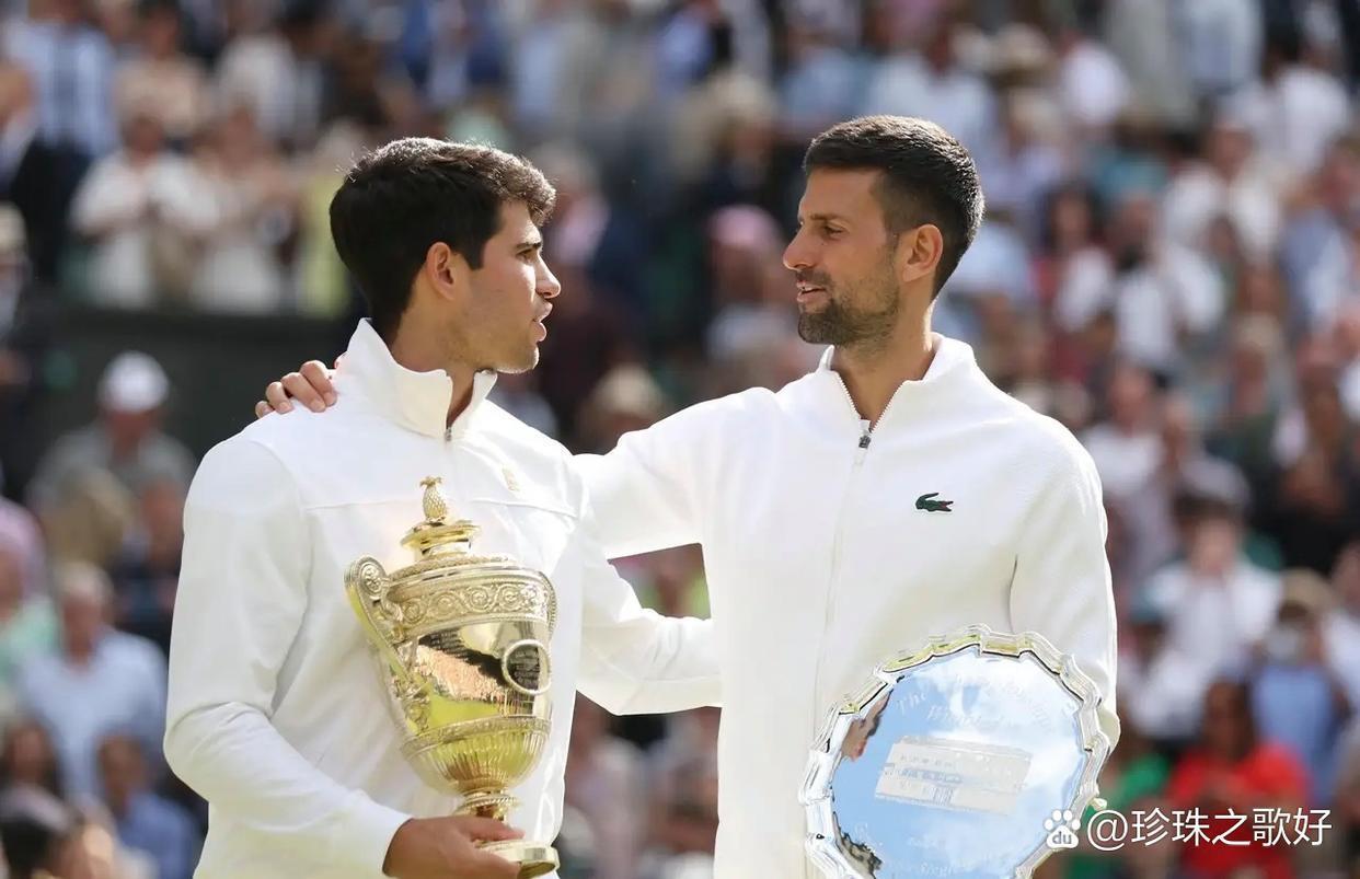 日本网球队逆转西班牙网球队，德约科维奇送出助攻的简单介绍