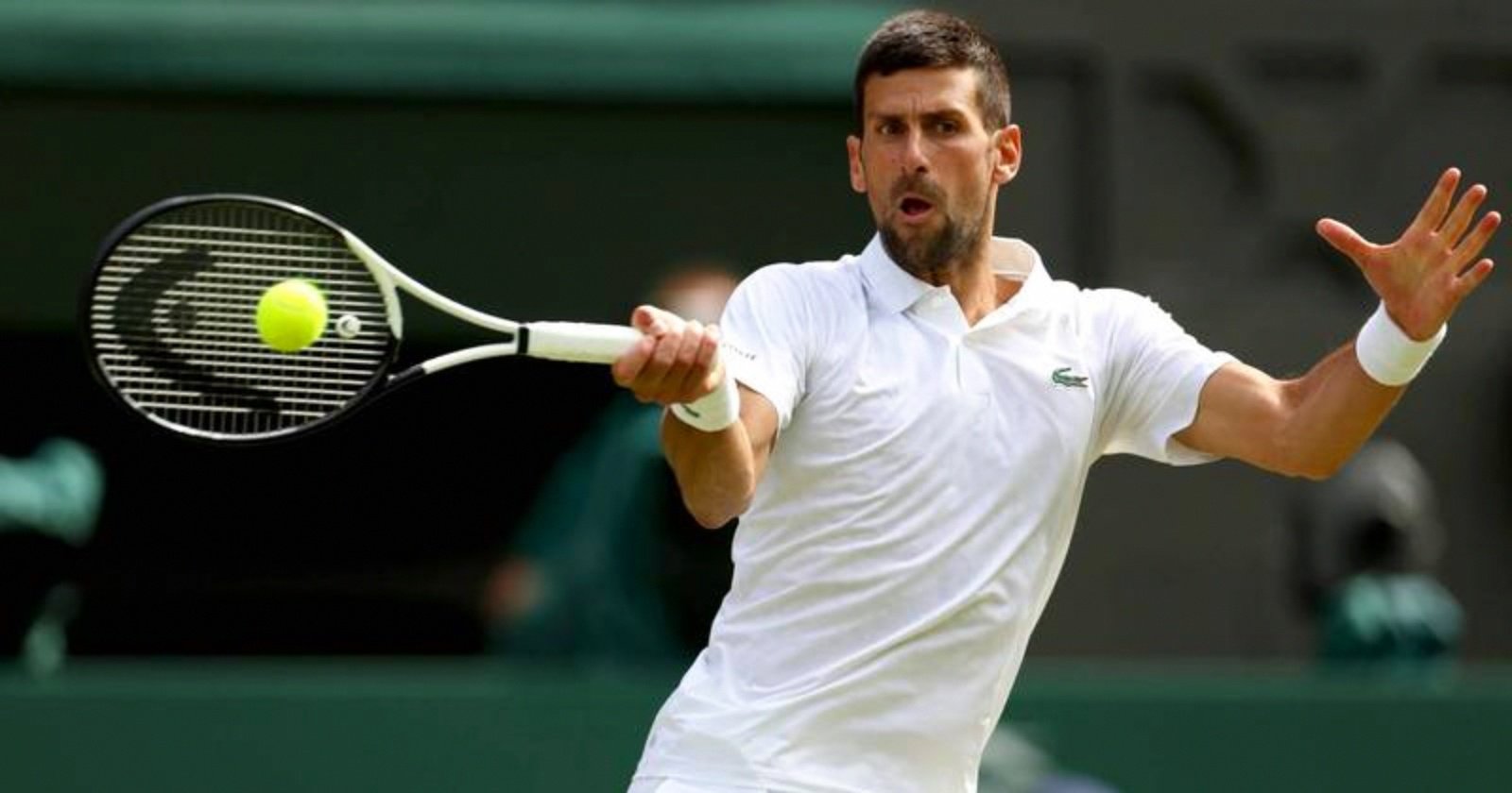 ATP总决赛完胜美网,德约科维奇带队取胜 ATP总决赛完胜美网,德约科维奇带队取胜